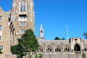 this building fascinated me