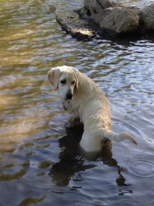 not really sure about how he got here...