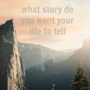 Image: jellyjars.com