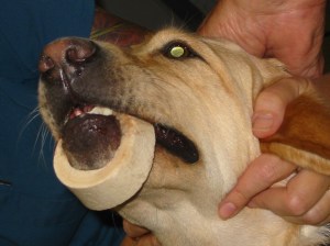 This isn't Jeter, but this is what he looked like!