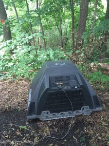 On the side of the yellow brick road, 8/15