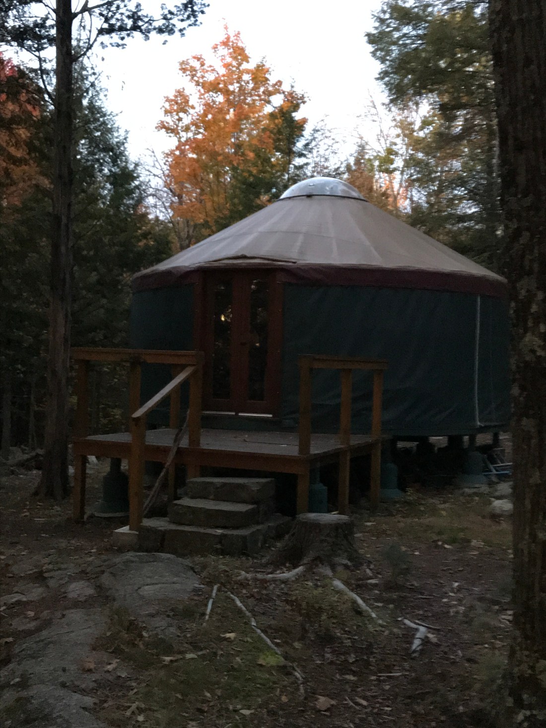 CDD230E6-BB97-4242-9155-D47B5F54FAE0