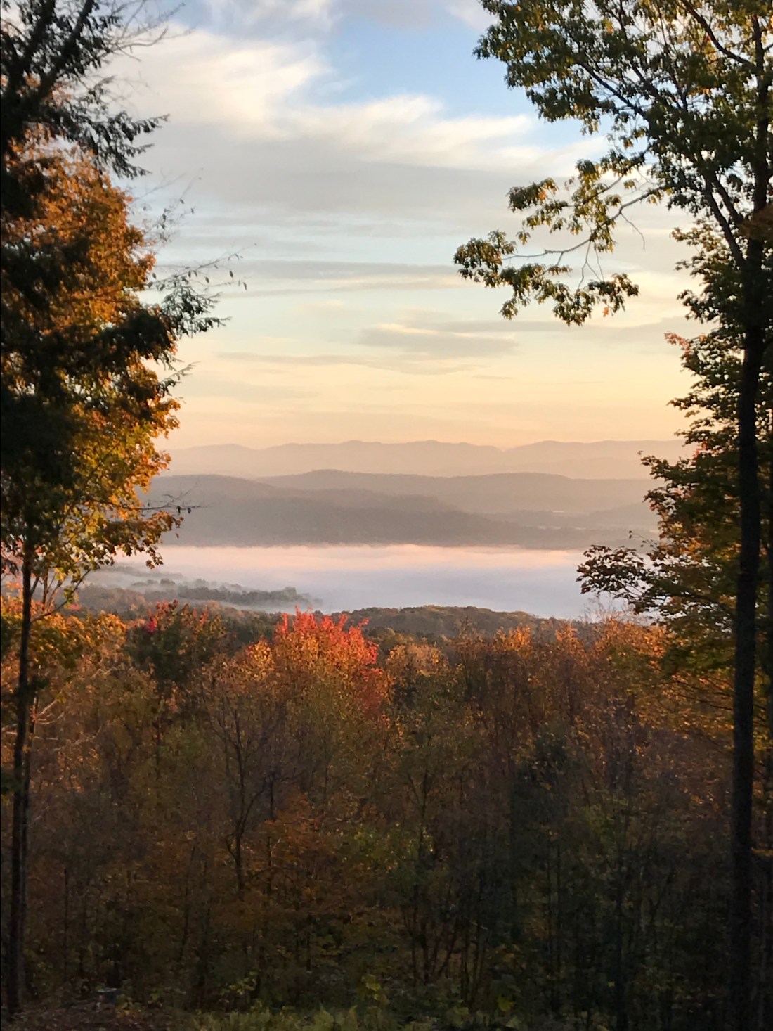 E67CFFCF-3FF2-418F-B634-D38079160BBE