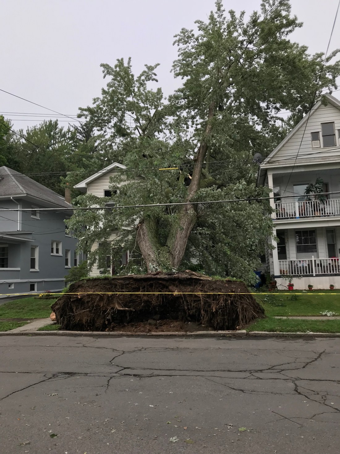 AB05F5ED-10F3-4CBC-B7B6-7991693802A9