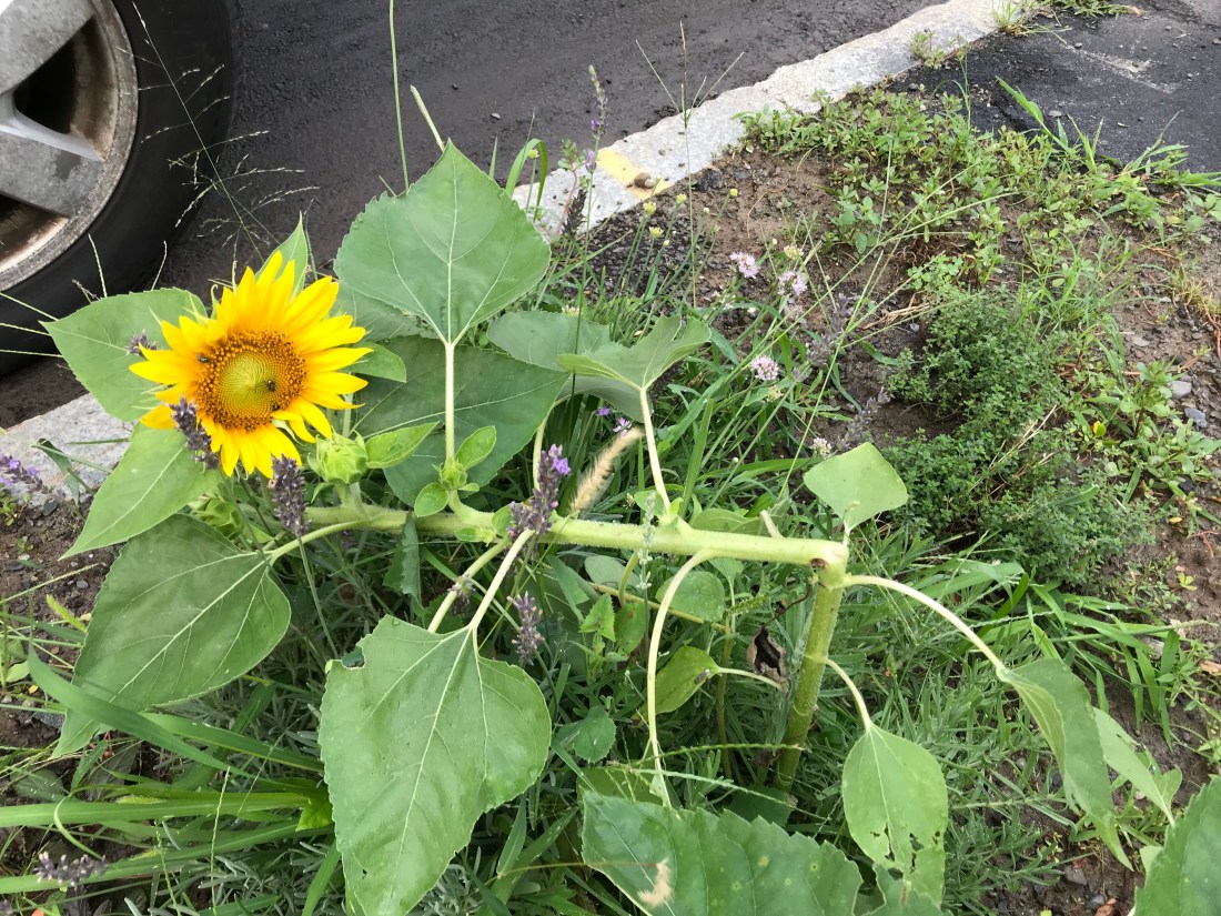 F9027D7D-1802-44CC-8237-A737AE7E70C9