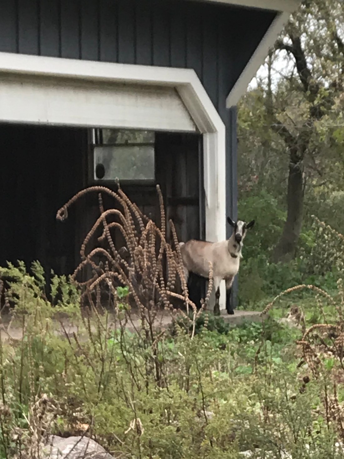 C8B798B0-4E0C-4E02-AAD1-1F49114E046F