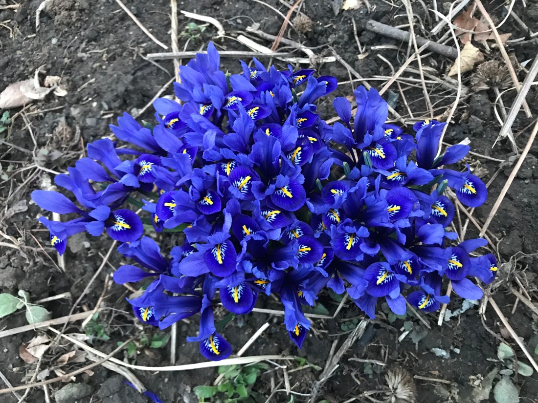 8DDE59E3-CB66-444A-A6F2-923F42B8559E