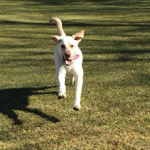 B6F2E0BF-104F-421B-AF8F-B7EB17AE4991