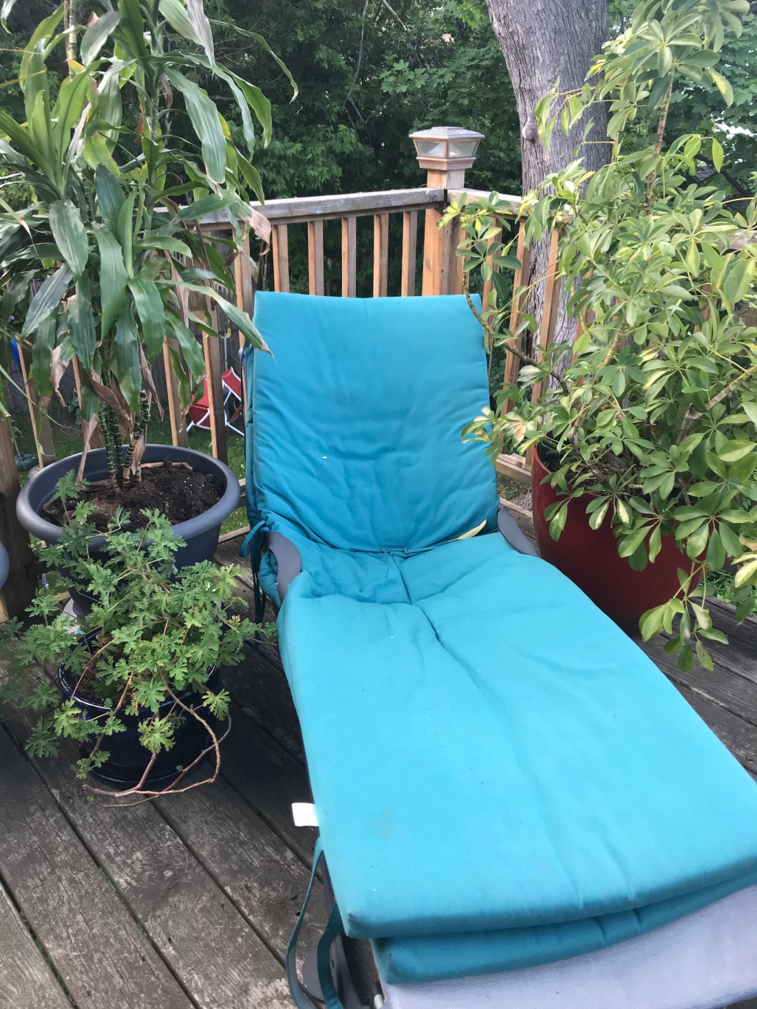 2206BFF9-4C3A-4869-97DA-AB121A930D0A