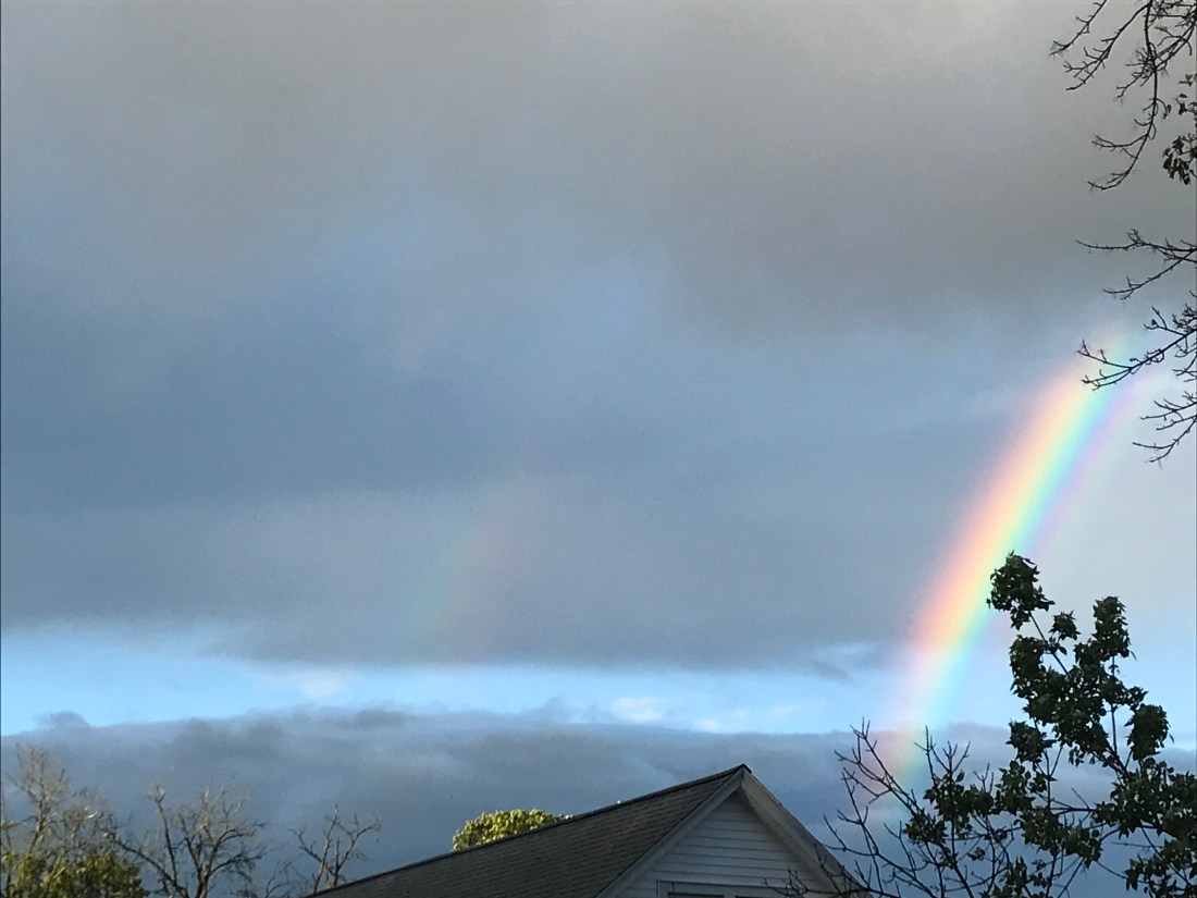 CFF70CEB-C534-4EBF-AF45-7968D4CD058E