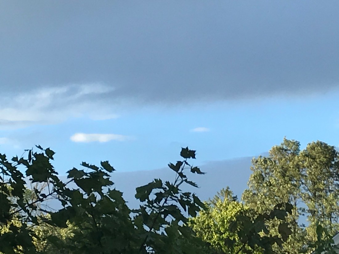 D9B5388D-A906-4ABD-8E94-6CF825659071